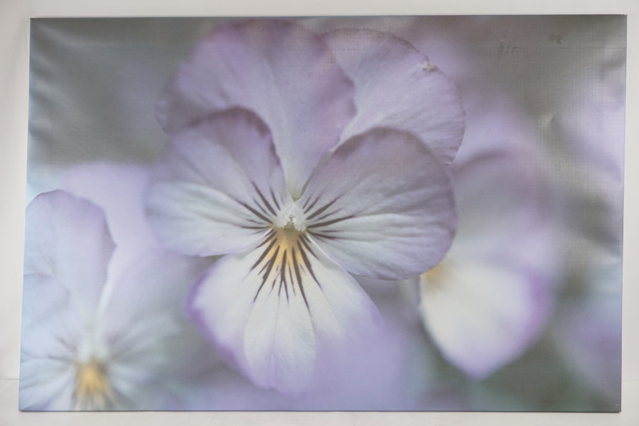 IKEA Brattby 120x80cm tavla. M45/