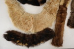 Pälskragar / pälsbitar. BC119