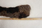 Pälskragar / pälsbitar. BC119