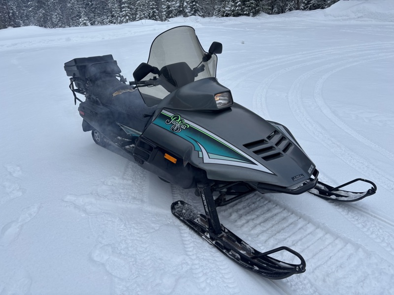Arctic Cat Pantera 1992