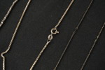 3st Silverhalsband/skrot. A226