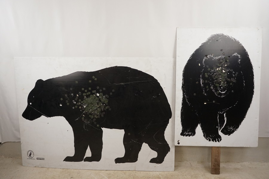 2st Norma Björnpasset tavlor. B109