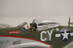 P51D Mustang, modellflygplan. G17