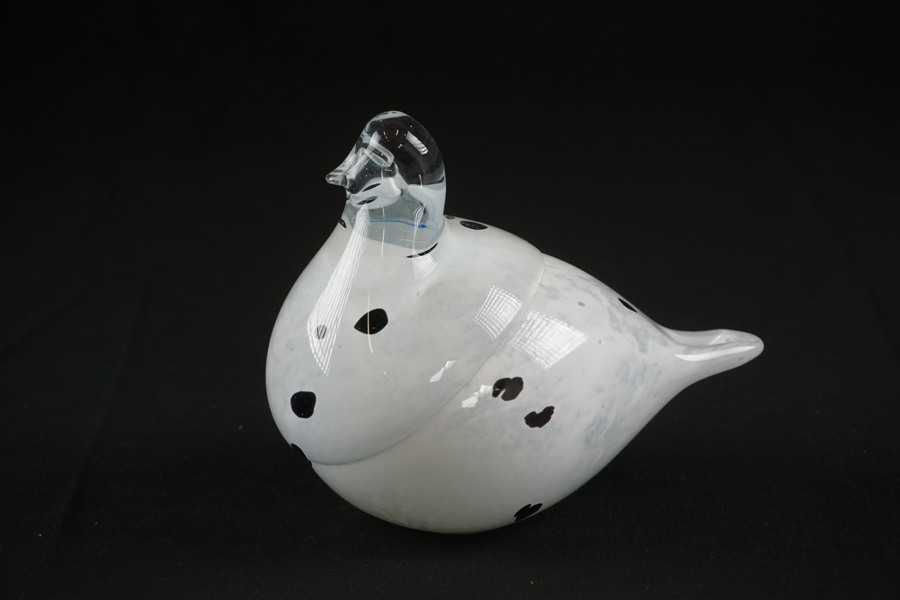 Ripa glasfågel vit. G25