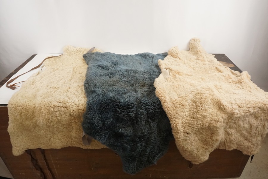 3st Fårfällar. BC53