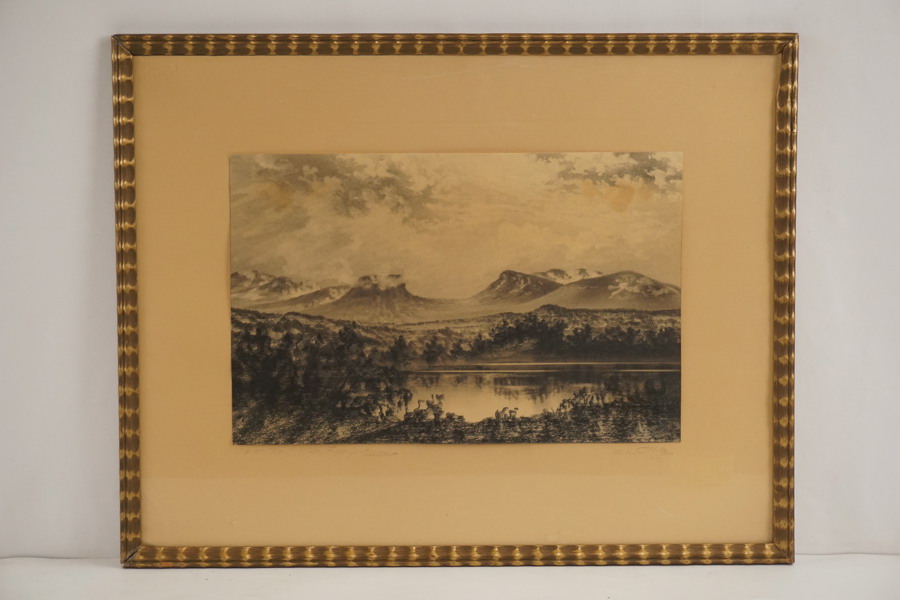 Tryck, berg 66x52cm. M17/