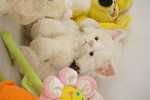 Gosedjur, Care Bears mm. BC7