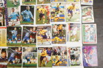 Arena Samlarkort fotboll Svenska Mästare 1994 mm. A56/