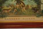 Mannens åldrar, grafiska, tryck. M50/
