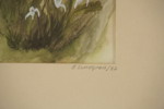 B. Sundgren, Växt 19x22. M111/