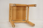 Pall. B115