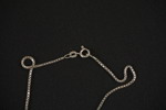 Silverhalsband med militär medalj/bricka med emblem. A225