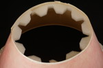 Golvlampa vit. B521/