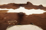 Kohud 160x170cm. B56