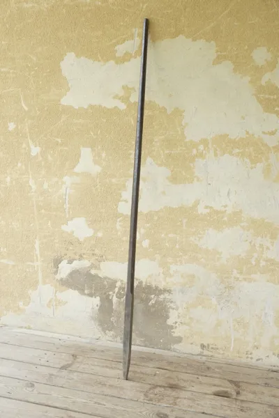 Järnspett 6,5kg. B95
