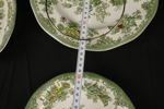 Asiatic Pheasants serveringsfat. G52