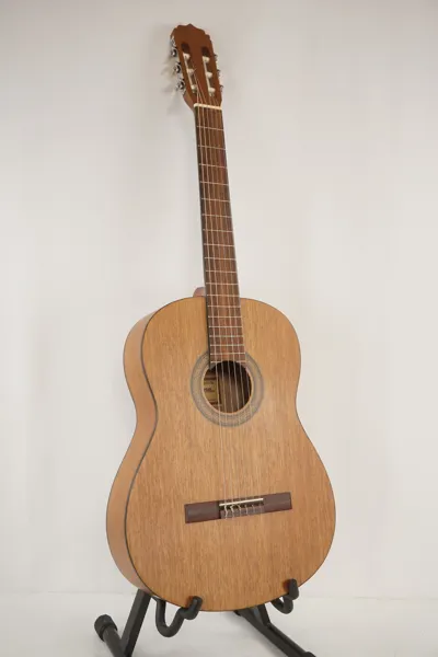 Ariana AK-60 Akustisk gitarr. M21