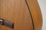 Ariana AK-60 Akustisk gitarr. M21