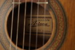 Ariana AK-60 Akustisk gitarr. M21