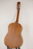 Ariana AK-60 Akustisk gitarr. M21