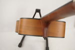 Ariana AK-60 Akustisk gitarr. M21