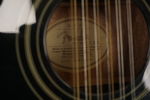 Fender CD-160SE-12 Gitarr 12 strängar. M23