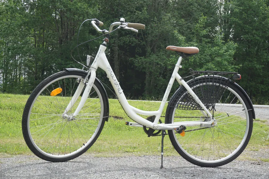 Kayoba Elegance Damcykel. B109