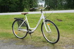 Kayoba Elegance Damcykel. B109