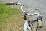 Kayoba Elegance Damcykel. B109
