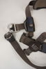 Exofit Fallskyddssele NEX. BC181