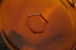 Apoteksflaska "Galangae". G102