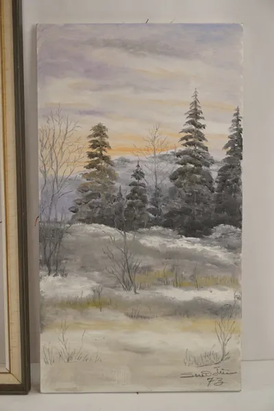 S. 73, vinter motiv. M41/