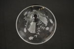 Ekstedts Glassliperi vas. G46/