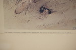 2st Carl Larsson, tryck. A42/