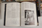 Böcker, Carl Larsson mm. BC163/
