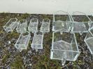 Kryddhylla med mjölskeppor B251