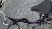 Skandic damcykel B259