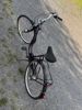 Skandic damcykel B259