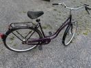 Skandic damcykel B259