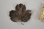 Bladformad brosch mm. A152