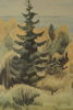 B. J-son Iwald, skog & gran, färglitografi, 53x73. M34
