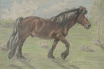Sonja Boman, häst på fält, pastell 53x44. M38