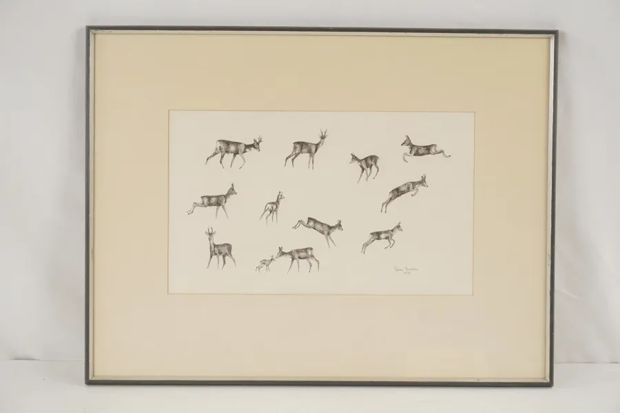 Göran Boström, rådjur, blyertsteckning, 48x37. M41