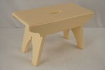 Pall. B258