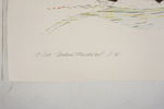 2st Ruben Fridwall litografier mm. A273