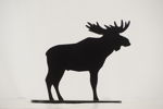 Älg Silhuett. A87