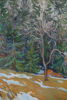 G. Pers, Gamla Apeln, Akryl, 69,5x86. M50