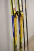Fischer SCS Skidor & Swix Stavar. D103