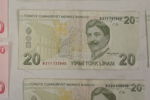 Turkisk 10 & 20 Lira, Dansk 5 sedel. A196