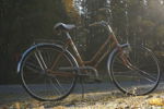 Puch Damcykel. B342
